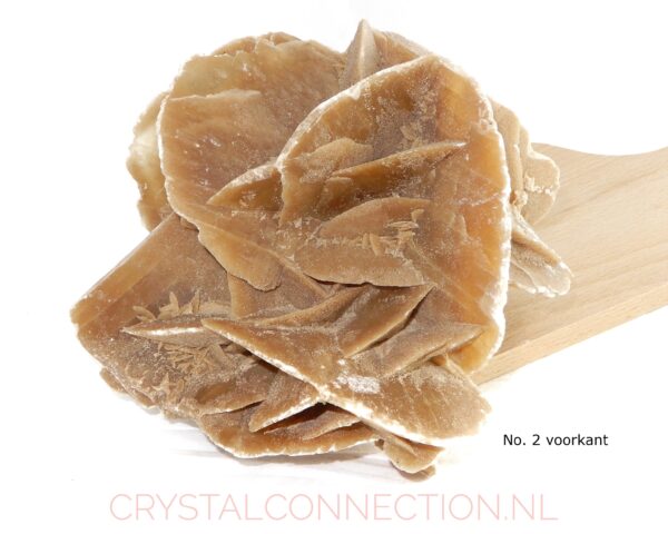 woestijnroos-ruw-voorkant-no2 Woestijnroos ruw