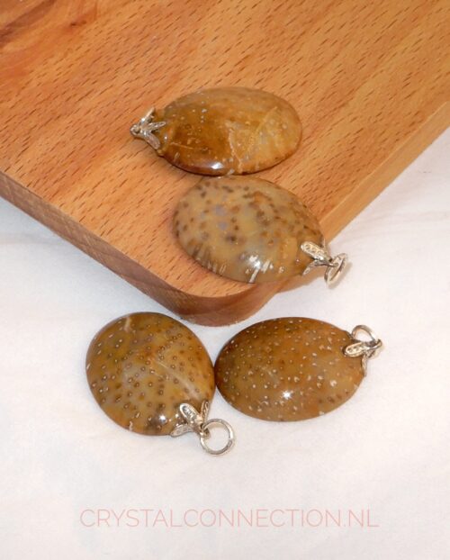 Fossielkoraal cabochon hanger