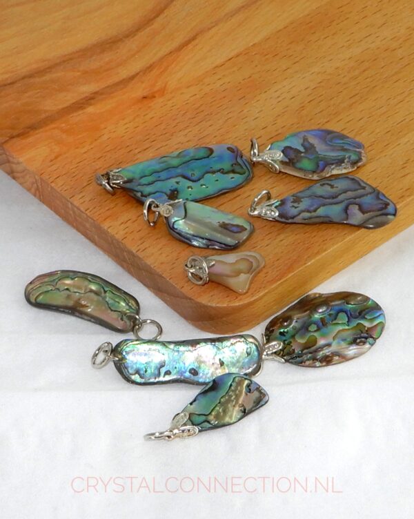 Paua schelp hanger