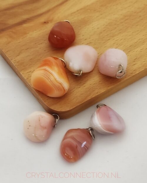 abrikoosagaat Abrikoosagaat voor dieren