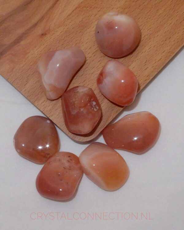 Abrikoosagaat voor dieren