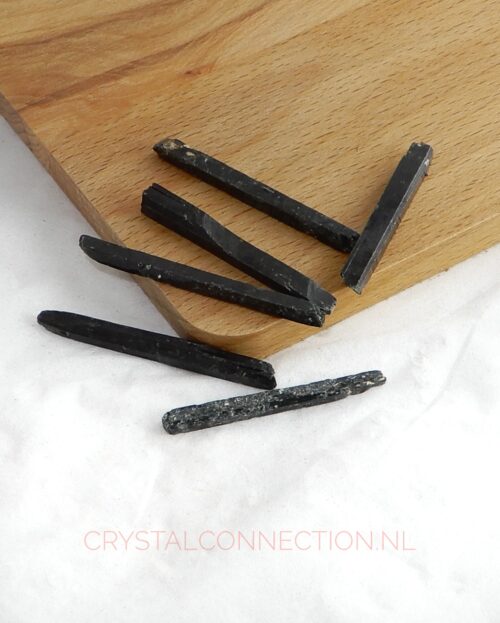 aegirien-ruw-klein Aegirien ruw