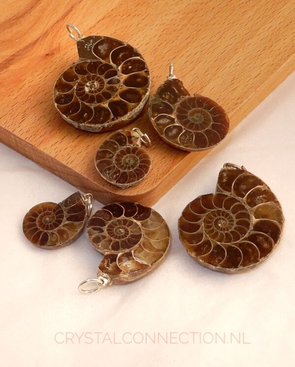 ammoniet-hanger-1kant-gepolijst Ammoniet hanger