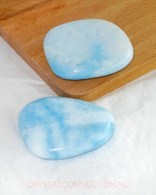 Astrophylliet trommelsteen