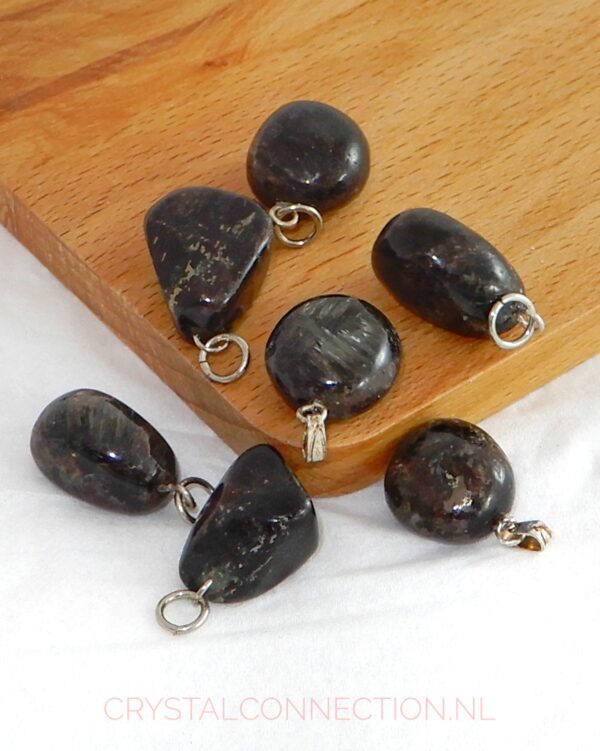 astrophylliet-hanger-klein Astrophylliet hanger