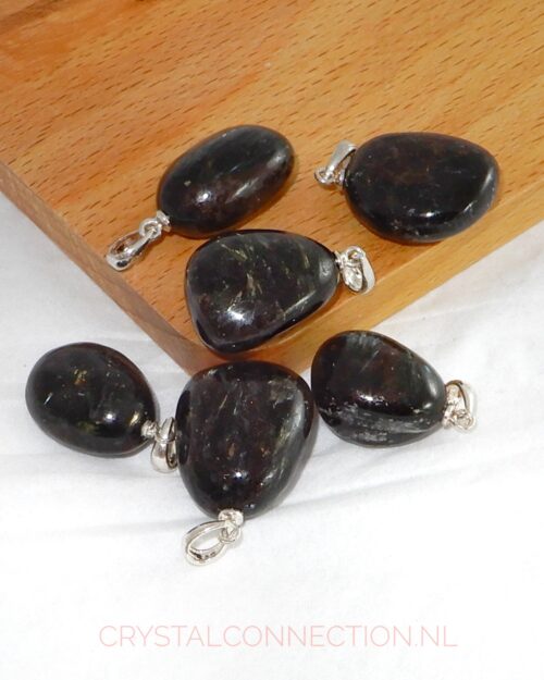 Astrophylliet hanger