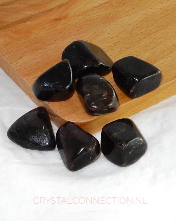 Astrophylliet trommelsteen