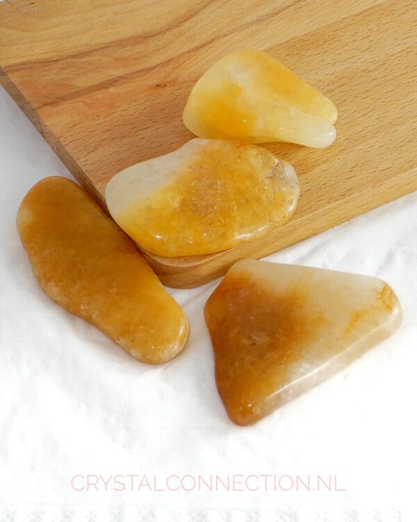 Astrophylliet trommelsteen