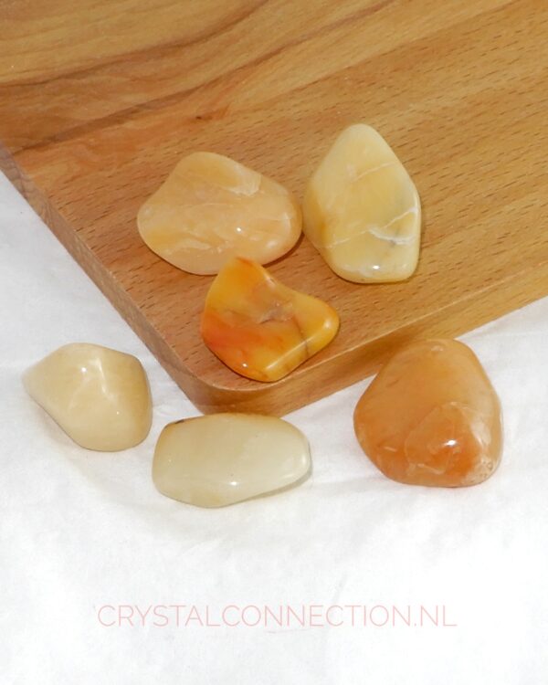 Astrophylliet trommelsteen