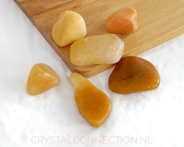 Astrophylliet trommelsteen