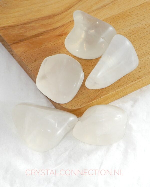 Astrophylliet trommelsteen