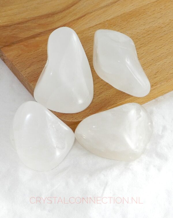 Astrophylliet trommelsteen