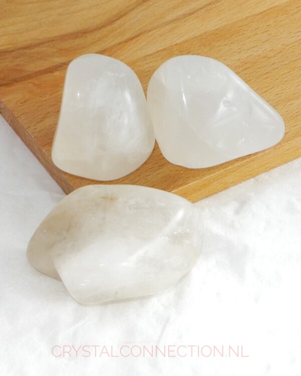 Astrophylliet trommelsteen