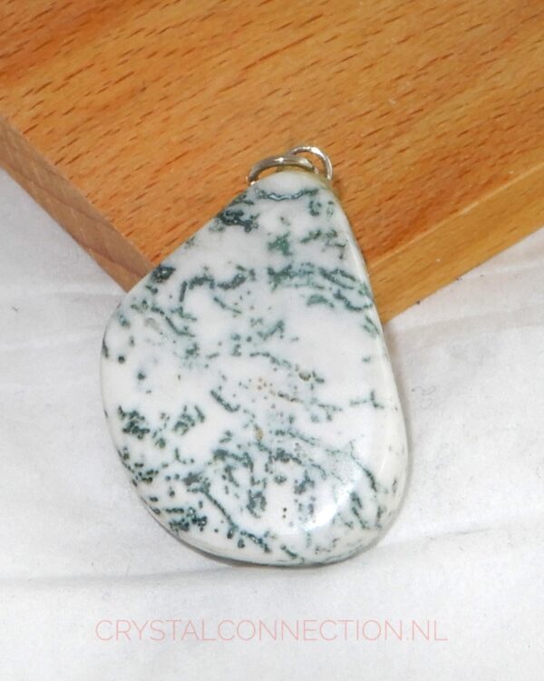 Boomagaat doorboorde hanger