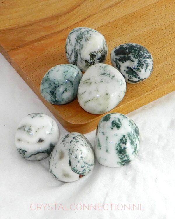 Bertrandiet trommelsteen