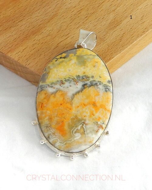 Bumblebee jaspis zilveren hanger