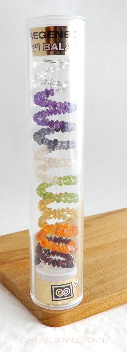 Ch'i Balancer Regenboog