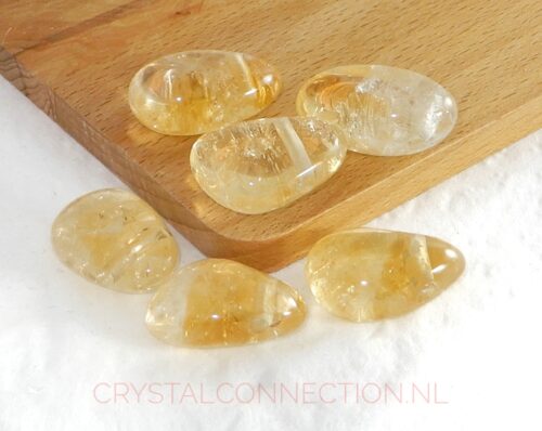 Citrien doorboorde hanger