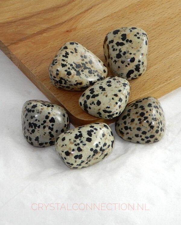 Dalmatier jaspis trommelsteen