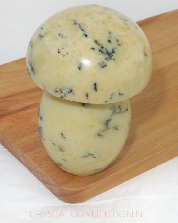 dendrietenkwarts-paddenstoel-no1-geel-staand-32.95 Dendrietenkwarts paddenstoel