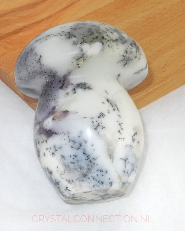 dendrietenkwarts-paddenstoel-no1-wit-31.00 Dendrietenkwarts paddenstoel