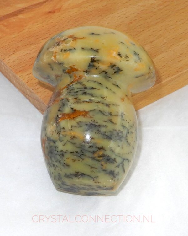 dendrietenkwarts-paddenstoel-no2-geel-15.00 Dendrietenkwarts paddenstoel