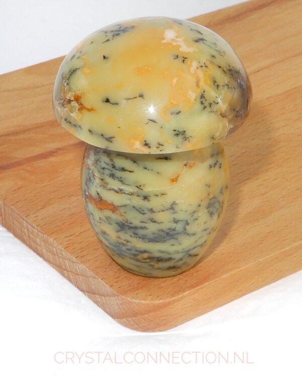 dendrietenkwarts-paddenstoel-no2-geel-staand-15.00 Dendrietenkwarts paddenstoel