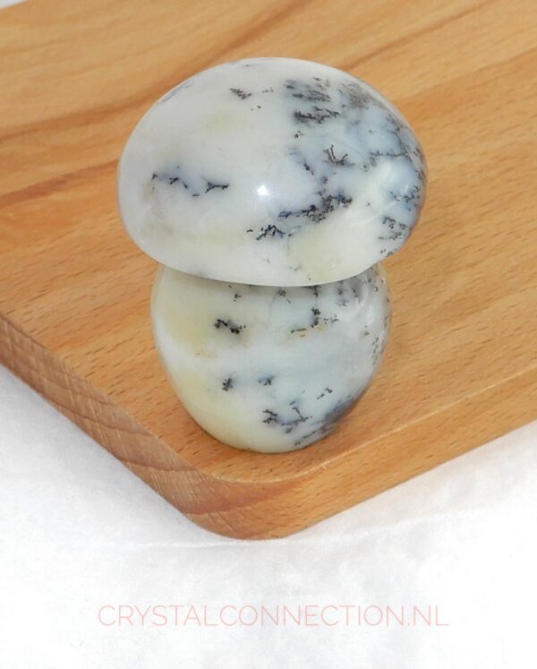 dendrietenkwarts-paddenstoel-no2-wit-staand-7.75 Dendrietenkwarts paddenstoel