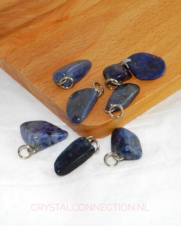 dumortieriet-hanger-klein Dumortieriet hanger