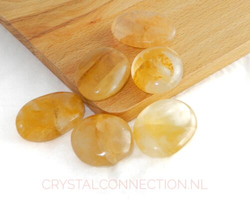 Golden healer schijfsteen