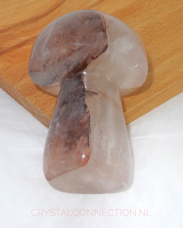 Golden Healer paddenstoel