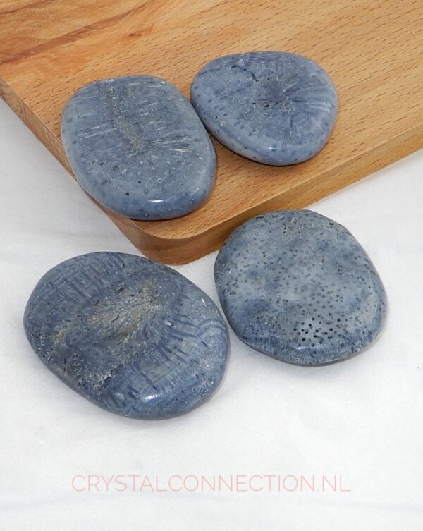 Koraal blauw schijfsteen