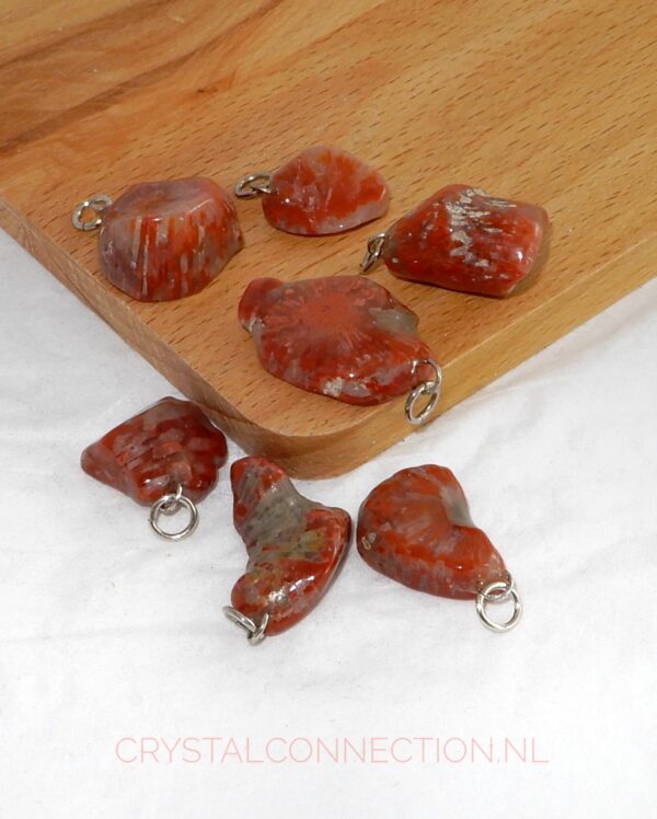 koraal-hoorn-hanger Agaatkoraal hanger