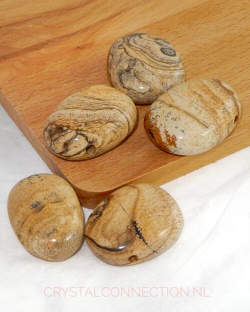 Landschapsjaspis doorboorde hanger