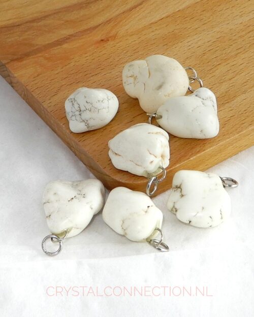 magnesiet-hanger-klein Magnesiet hanger