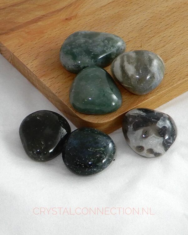 Mosagaat schijfsteen