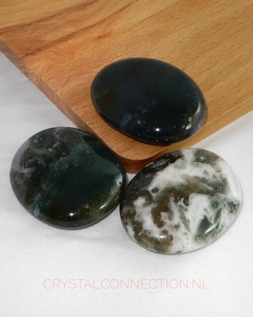 Mosagaat schijfsteen