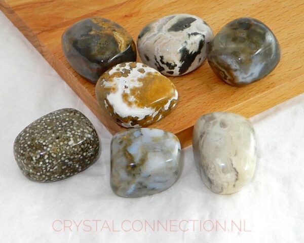 Oceaan jaspis doorboorde hanger