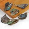 Paua schelp hanger