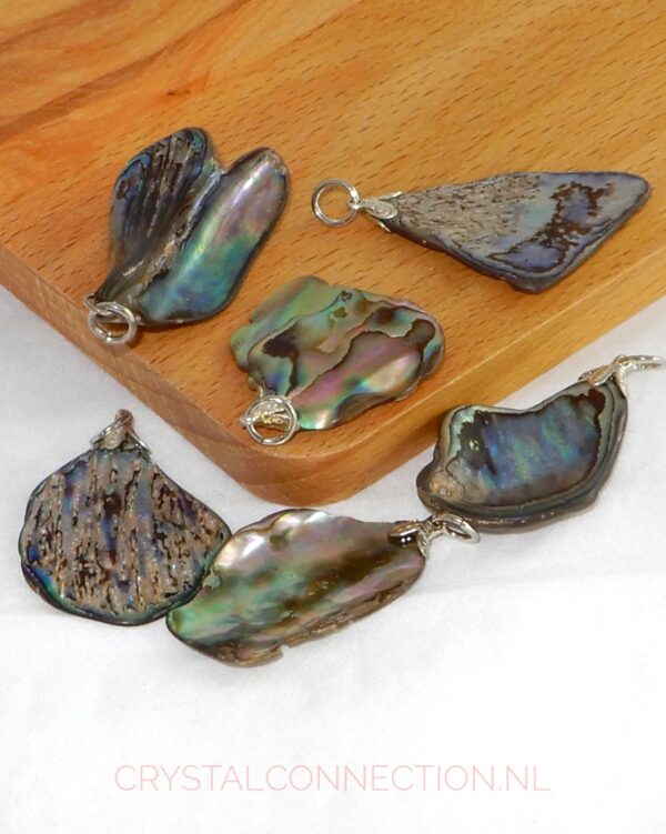 Paua schelp hanger