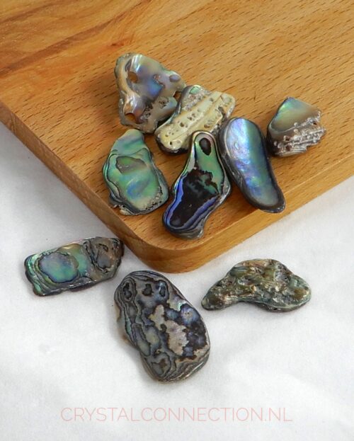 paua-schelp-stukjes-klein Paua schelp stukje