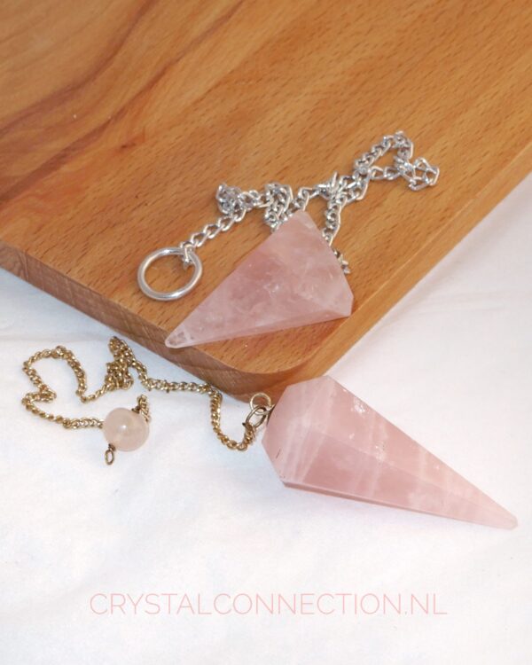 Fossielkoraal cabochon hanger