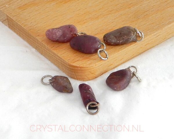 robijn-hanger-halfgetrommeld Robijn hanger