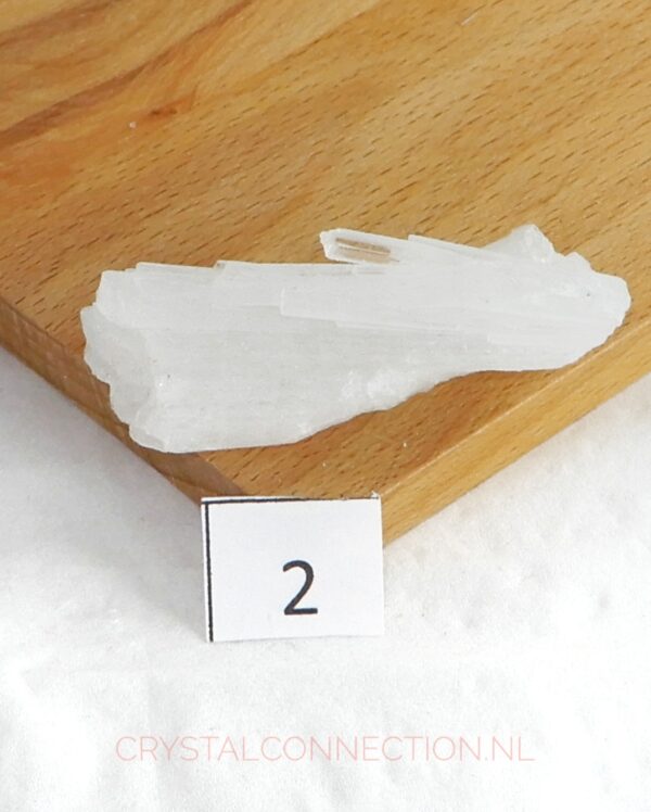 scolesiet-ruw-no2 Scoleciet kristal