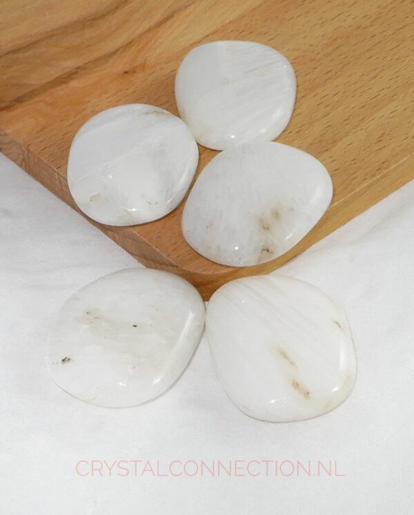 Scoleciet schijfsteen