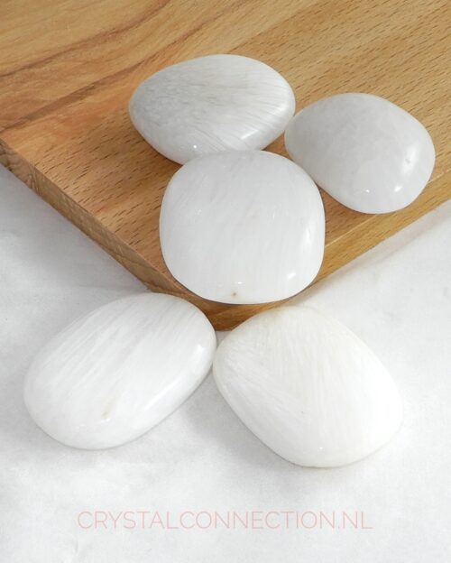 Scoleciet schijfsteen