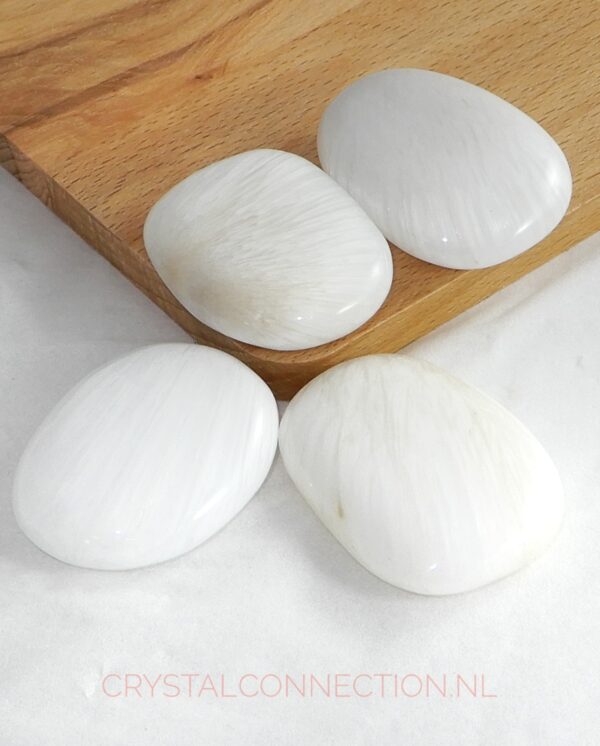 Scoleciet schijfsteen