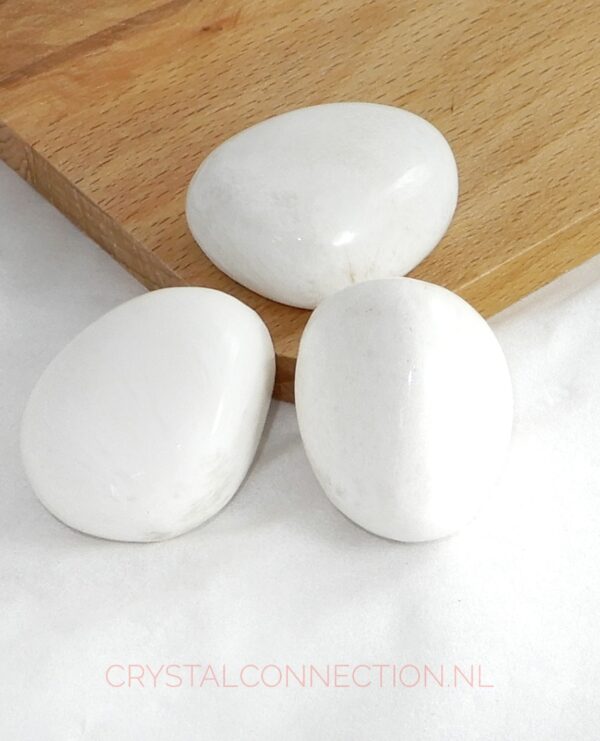 Scoleciet trommelsteen