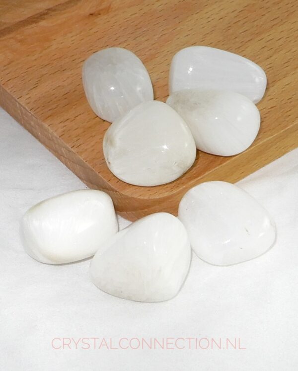 Scoleciet trommelsteen