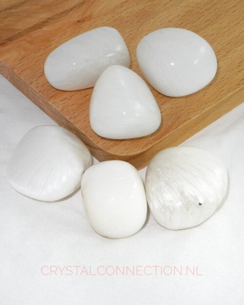 Scoleciet trommelsteen